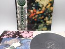 Pink Floyd ‎– Obscured By Clouds Japan LP OBI VINYL Odeon ‎– EOP-80575