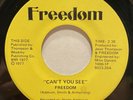 Modern Soul 45 FREEDOM Can't You See / Sunshine listen