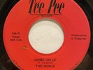 RARE WI 2-Sider Garage Psych Fuzz Rock 45 THE HINGE Come On Up TEE PEE listen