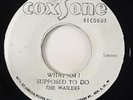 Wailers/Jackie MIttoo 