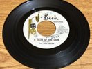TEXAS GARAGE 45 THE BAD SEEDS A TASTE OF THE SAME DJ STAMP J-BECK NICE VG+ VIDEO