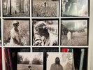 Taylor Swift - Folklore (16LPs) Complete Vinyl Set in 8 Color Variants (Sealed)