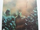 Steely Dan / Katy Lied / 1975 UK Original ABC Records LP / EX