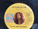 David and The Giants Northern Soul 45 Ten Miles High Crazy Horse VG clean hear