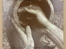 United Pentecostal Church- Danny A. Perdew - In The Potters Hands lp - VG+