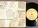 ROBERT RENTAL - PARAlYSIS rare UK 1978 PRIVATE MINIMAL SYNTH / DIY PUNK / MINT-