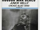 Hoodoo Man Blues by Wells, Junior (Record, 2002)