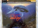 The Beach Boys : Summer in Paradise Vinyl LP 12