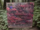 Sleep Token Even In Arcadia Gold Marble LP Vinyl Hot Topic Exclusive New Sealed