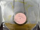 Troye Sivan - Something To Give Each Other Limited Honey-Liquid Filled Vinyl LP