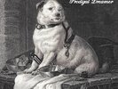 PAVLOVS DOG - Prodigal Dreamer (Vinyl LP) [PRE-ORDER]