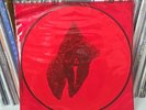 Alice In Chains ‎– The Devil Put Dinosaurs Here 2013 Pic Discs - Vinyl LP VG+