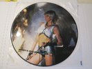 Wendy O. Williams --  W.O.W Picture Disk -- great graphics, see vinyl test below