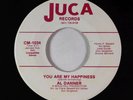 Northern Soul Funk 45 - Al Danner - You Are My Happiness - Juca VG++