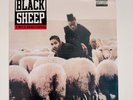 Black Sheep Wolf in Sheep's Clothing Vinyl LP 1991 PolyGram 848 368-1 Near Mint