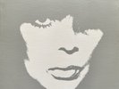 NICO + THE FACTION Camera Obscura LP PVC New Wave Art Rock Velvet Underground