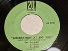 ekim        CELEBRATION at BIG SUR -RADIO SPOT ANNOUNCEMENTS 45 RPM RECORD rare