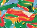 AUNTIE FLO - Birds Of Paradise - Vinyl (LP)