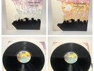 2 Lp's Ruben Blades/Willie Colon Maestra Vida Parted 1 y 2 1981 RARE VG+
