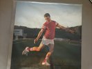 Gold Vinyl Vulfpeck The Beautifull Game