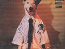Rick Springfield Working Class Dog LP Signed PSA VG+/VG