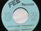 Flaming Emeralds - Have some everybody US FEE 45