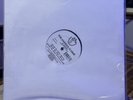 THE AMNEXX CLIQUE/12 “ Rude Girl/SPEAK DA CLOUT’ Single Record/indie Rap Wax