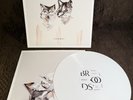Evergreen By Broods White Color Vinyl LP Record 2014 Limited Edition
