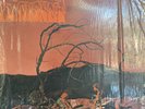 C.A. QUINTET TRIP THRU HELL 1969 CANDY FLOSS 1ST PRESS PSYCH PROG ACID GRAIL LP