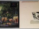 FLEETWOOD MAC; 2 LP Lot; TANGO IN THE NIGHT (Shrink, Hype); TUSK (Shrink)