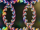Tool - Lateralus - Double LP Album - Vinyl Picture Disc Limited Edition - * NM *