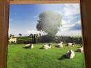 THE KLF - Chill Out - transparent vinyl. New. Last copy