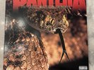 Pantera - The Great Southern Trendkill (2xLP) (Very Good Plus (VG+)) - 376537611