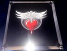 BON JOVI Limited Edition Vinyl Album LP Box Set Superb Condition 25 Discs
