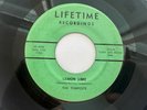 Ohio Garage Rockabilly 45  The Tempests 