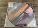 Kelsea Ballerini Patterns Vinyl Picture