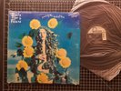 TEARS FOR FEARS Sowing The Seeds Of Love 12