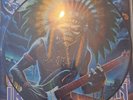 IRON MAIDEN : ROCK IN RIO 2013  Vinyl LP PICTURE DISC Record Album