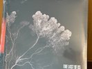 Pearl Jam - The Last Of Us - Ten Club Exclusive Color EP Vinyl LP Vedder NEW