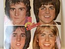 Bay City Rollers Greatest Hits Vinyl LP 1975 Arista Record AB-4158 Sealed