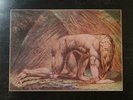 Atomic Rooster-Death Walks Behind You Vinyl LP Album.1970 B&C CAS 1026.