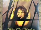 LP John Martyn - Bless The Weather ILPS 9167 Vinile Musica Rock Made In UK