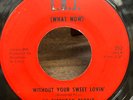 US EVERYDAY PEOPLE   Without Your Sweet Lovin'. 1968 Northern soul 45 on L.B.J.