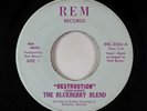 Psych 45 - Blueberry Blend - Destruction - REM