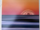 Free-Man Aaron Freeman Album Vinyl OG Pressing (Ween)