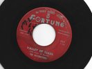 DOOWOP  bw NORTHERN SOUL 45 - DESTINATIONS - VALLEY OF TEARS -HEAR  1964 FORTUNE