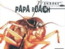 Infest by Papa Roach [VINYL]