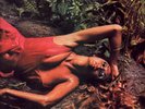 Roxy Music Stranded LP vinyl UK Island 1973 pink rim labels LP in laminated