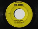 BEAUX JENS Trouble Baby/She Was Mine 7” 45 1967 Sound Of Sceen, Michigan garage