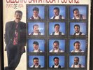 Gilberto Santa Rosa - Punto De Vista / US 1990 Pressing DCL-80419